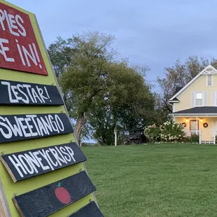 As of last weekend...these are the apples already harvested