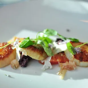 Diver Scallops