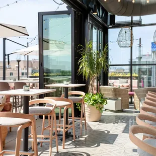 Lucha Rosa on the rooftop of DC's Moxy Hotel