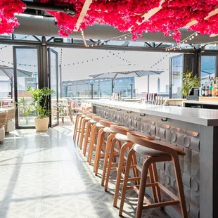 Lucha Rosa on the rooftop of DC's Moxy Hotel