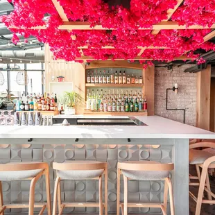 Lucha Rosa on the rooftop of DC's Moxy Hotel