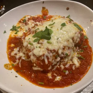  a plate of lasagna
