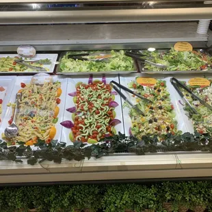 Caesar Salad, Garden Salad, Mediterranean Salad, Chef Salad, Caprese Salad, Chicken Pasta Salad