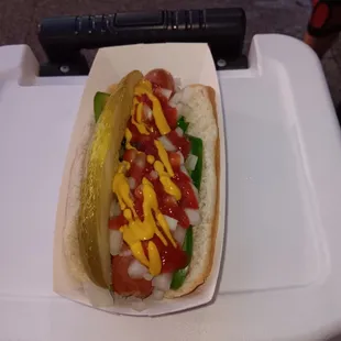 Customer Custom Dog Mustard, Onion, Neon Green Relish, Yellow Mustard, Ketchup&amp; Onion Awsome...