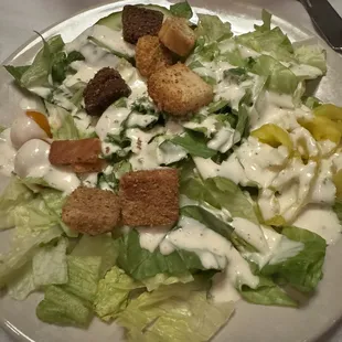 Starter House Salad