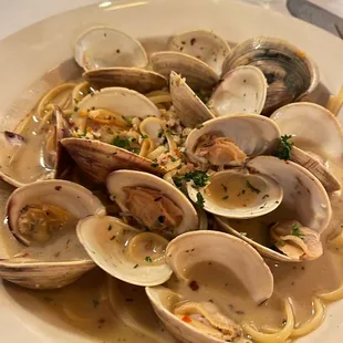 a plate of clams in a white sauce