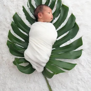 newborn photos