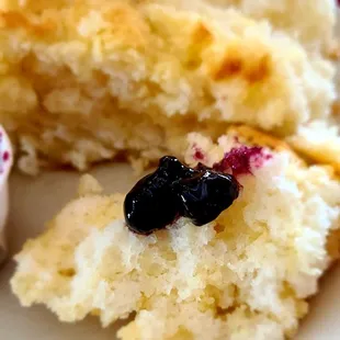 Biscuits closer, look!