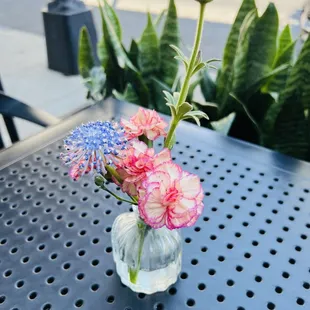 sushi and sashimi, food