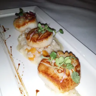 Sea Scallops