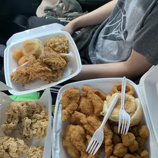 Dark chicken with corn nuggets, gizzard, fried shrimp with fried okra and onion rings!