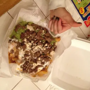 Carne asada fries