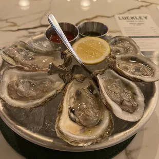 Oysters