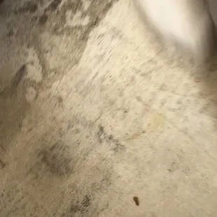 How can Luck-7 RV Rentals rent such filth???? I am so disgusted!!!!