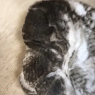 After cleaning kitchen drawer under the stove!