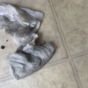 Disgusting floor.  How can they claim to have cleaned it right before they rented this filthy RV to us????