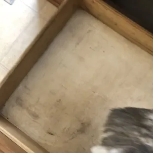 I feel like vomiting! The kitchen drawer are filthy