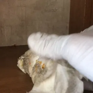 After cleaning kitchen shelves for the second time