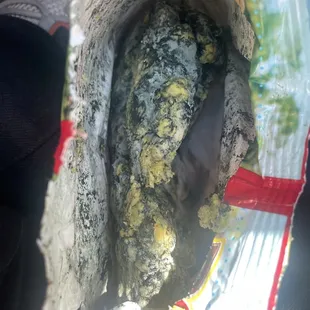 Mold on food
