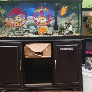 A nice fish tank with tropical fish.