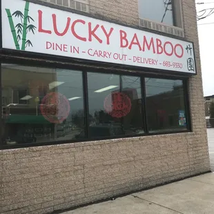 the front of lucky bamboo