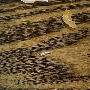 a piece of lemon peel on a wooden table