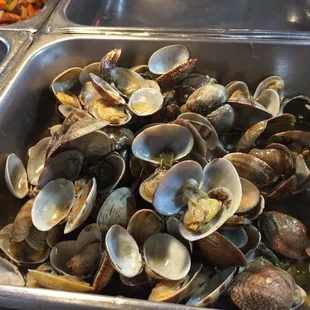 interior, oysters and mussels