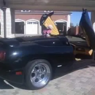 MissyMu is so excited that she is coming with me to pick up Chinese food that she is on the roof of my Lamborghini Diablo Roadster.