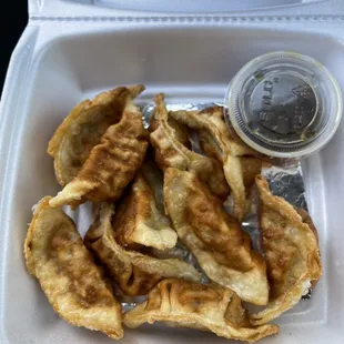 Fried Dumplings, cold, salty, and favorless.