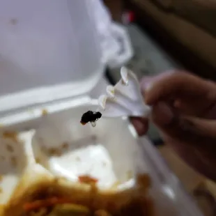 a hand holding a fork with a bug on it
