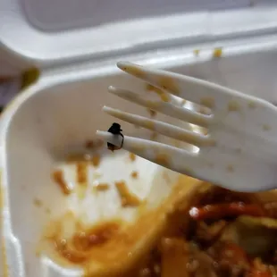 Twice cooked pork with a FLY in it!