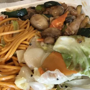 Combo Plate of food