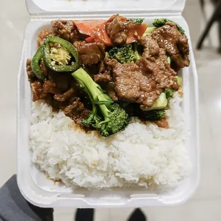 Broccoli Beef