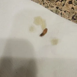 Bug from the Kung pow chicken