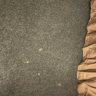 Carpet between beds.