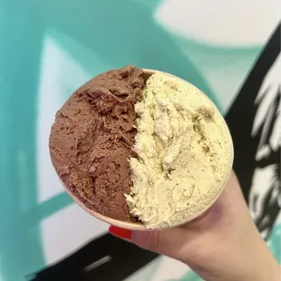 Death by Chocolate and Pistachio in a large