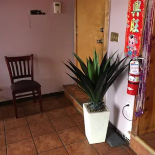 a potted plant in front of a door