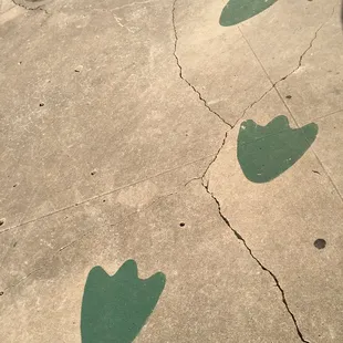 Duck tracks as you approach the front entrance of the Lucky Duck cafe.