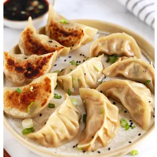 Pan Fried Dumpling