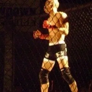 Albert V.