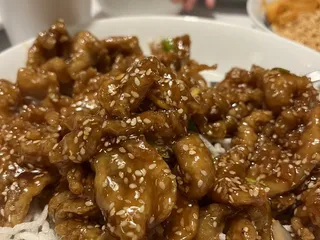 Hunan Lion