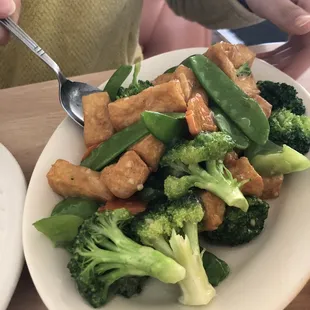 Veggies with tofu. Bright fresh veggies.