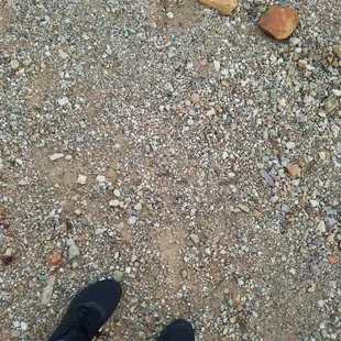 Boutta go to Lucky J Market