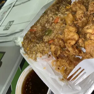 Seasons chicken with shrimp fried rice. Sauce on the side