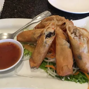 Spring Rolls