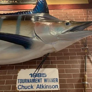 This place is decorated with all kinds of tournament fish. Swordfish, dolphins, sailfish. Fun place
