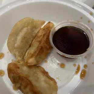 Pan Fried Dumplings