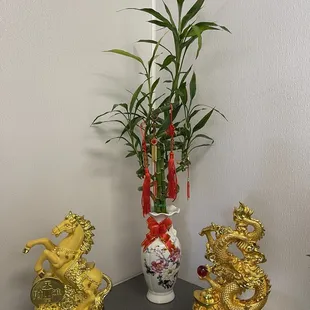 a bamboo plant in a vase