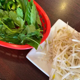 Yanyan W.