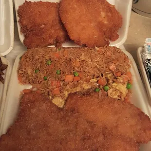Fried Catfish &amp; Fried Rice